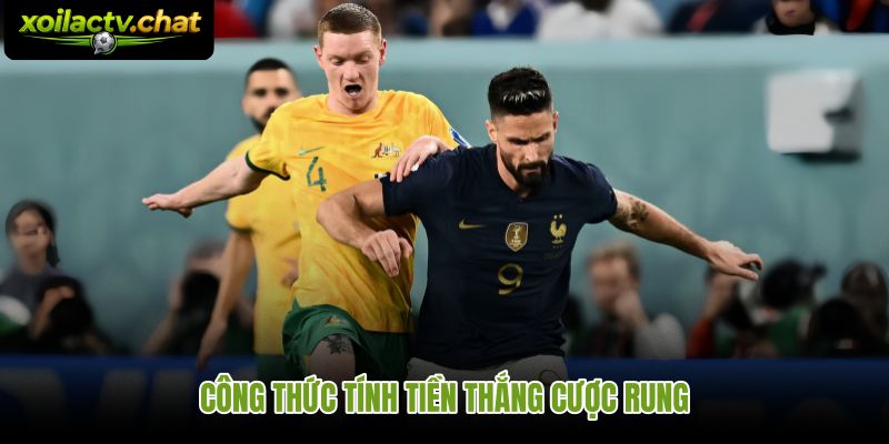 Kèo rung ăn bao nhiêu theo từng mức vốn và odds cụ thể